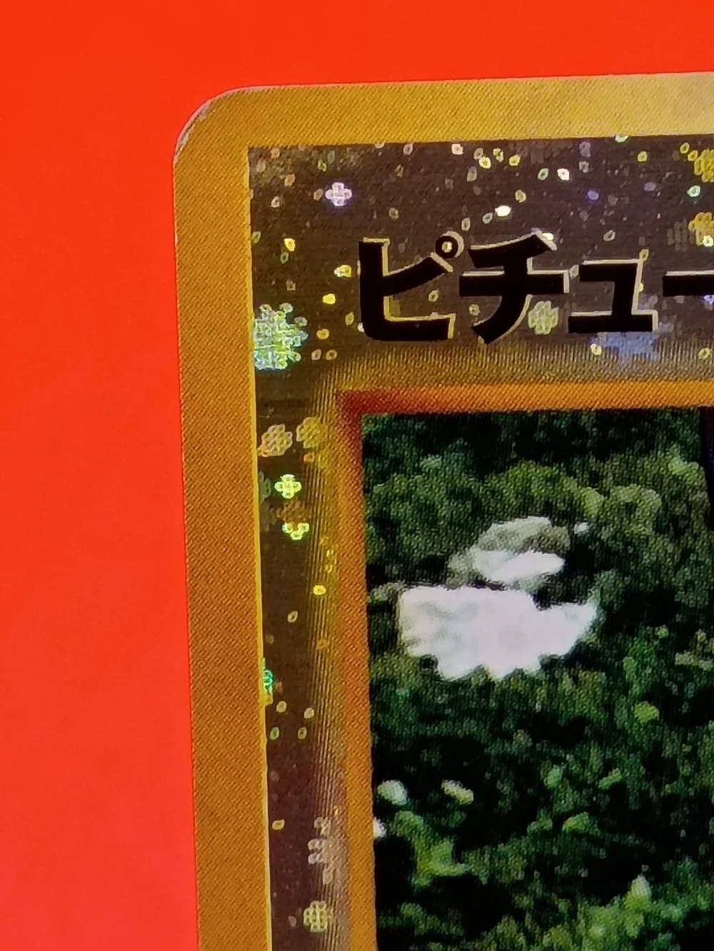 Pichu No.172 Neo Premium File 2 JPN Reverse Holo Swirl NM-LP Old Back Pokémon